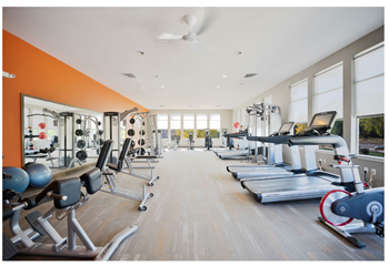 24-Hour health and fitness club with free weights